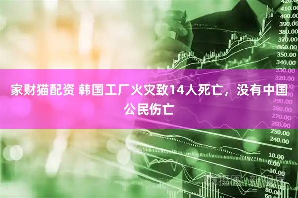 家财猫配资 韩国工厂火灾致14人死亡，没有中国公民伤亡